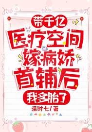 帶千億醫療空間嫁病嬌首輔後，我多胎了